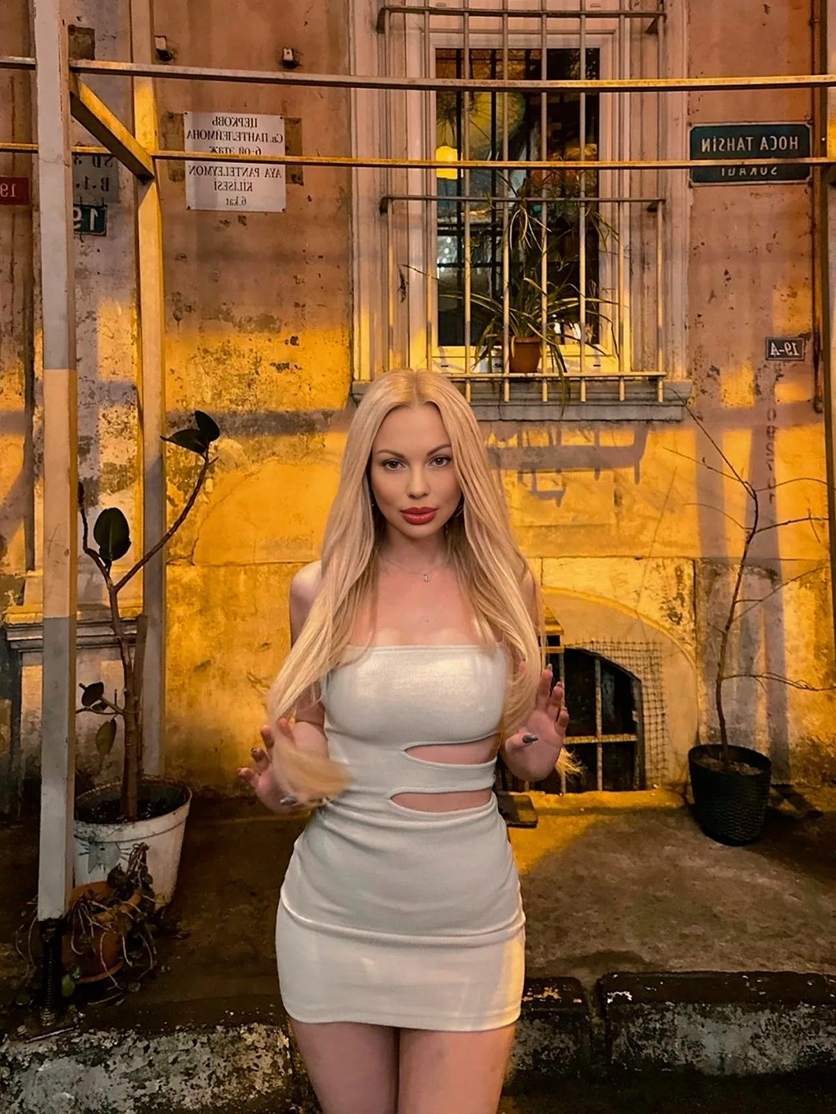 Velvetine 2